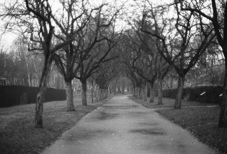 200011-27prahapark.jpg